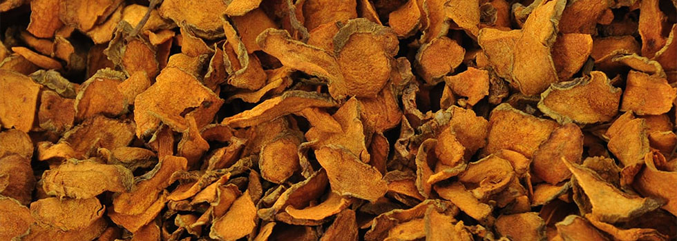 AgroExpollacta