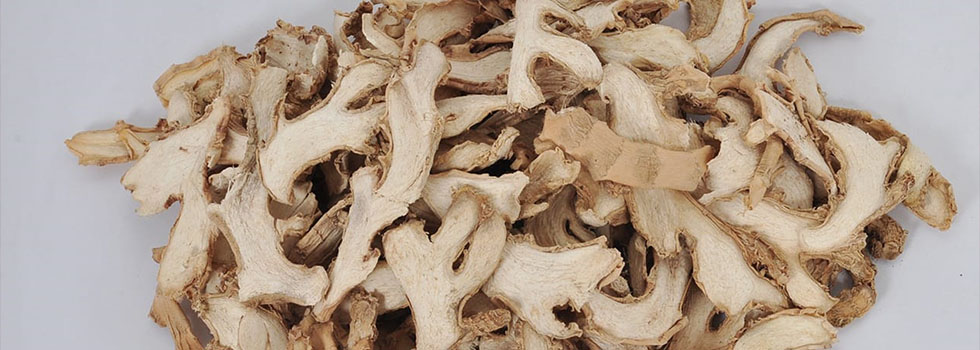 AgroExpollacta