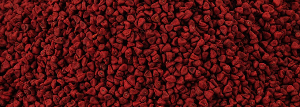 AgroExpollacta