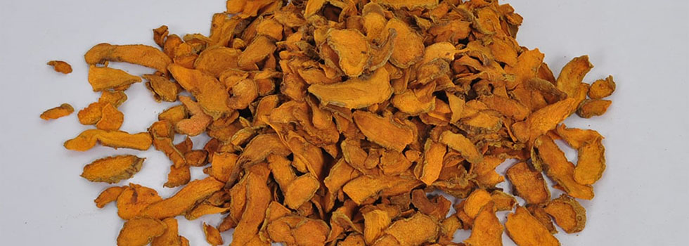 AgroExpollacta