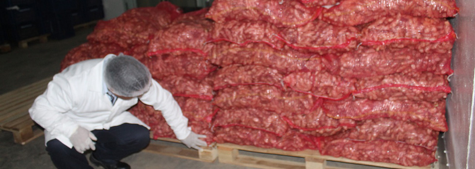 AgroExpollacta