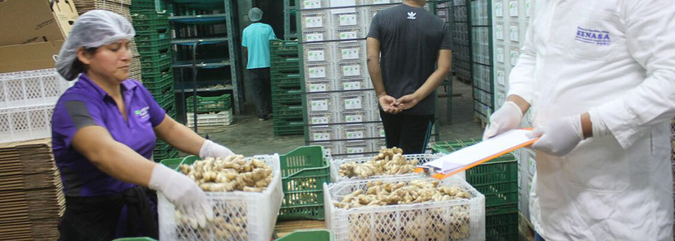 AgroExpollacta